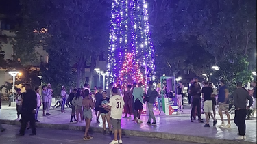 un gigantesco arbol navideno alumbra la oscuridad de la habana vieja 