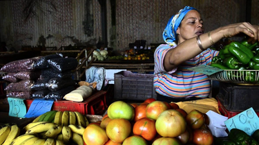 la habana impone precios maximos a productos agropecuarios que venden los privados