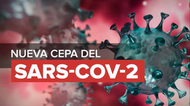 Confirman primer caso en EEUU de nueva variante del COVID-19