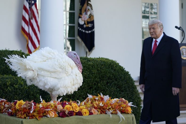 AMN-GEN_TRUMP-TRANSICIÓN-0.jpg