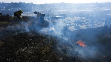 Bomberos de San Diego apagan un pequeño incendio en matorrales en una colina con vistas al centro comercial Mission Valley, el martes 21 de enero de 2025, en San Diego. (AP Foto/Gregory Bull)