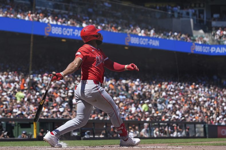 Luis Rengifo de los Angelinos de Los Ángeles batea un sencillo remolcador ante los Gigantes de San Francisco, el sábado 15 de junio de 2024. (AP Foto/Godofredo A. Vásquez)