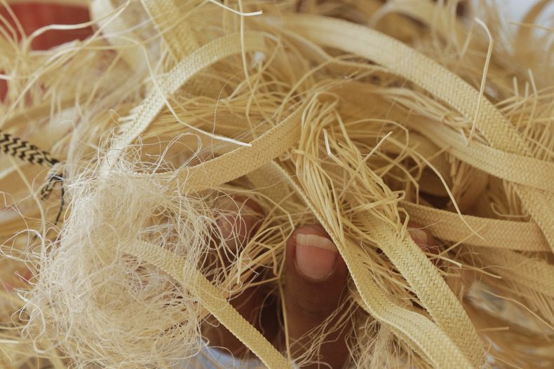 REP-GEN_PANAMA-SOMBRERO_PINTAO-0.jpg