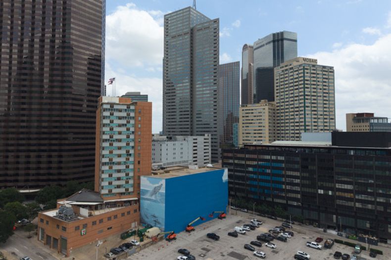 EL mural titulado Whaling Wall 82 y creado por el artista Wyland es cubierto parcialmente con pintura azul el lunes 18 de mayo de 2026 en Dallas (AP Foto/Julio Cortez)