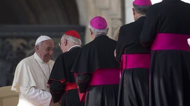 americateve | Cardenales y obispos saludan al papa Francisco al final de su audiencia general semanal en San Pedro, Ciudad del Vaticano, 30 de octubre de 2013. La Santa Sede anunci&oacute; el jueves 31 de octubre de 2013 que Francisco nombrar&aacute; a los primeros car