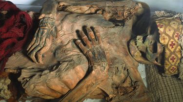 Esta fotografía de agosto de 2024, proporcionada por investigadores, muestra a un ser humano momificado de la cultura chancay de Perú. (Tom Kaye vía AP)