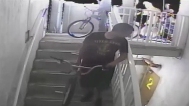 captan por tres camaras de seguridad a tres jovenes vandalizando un parque en hialeah