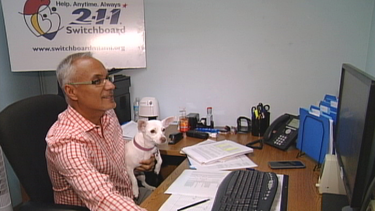 duenos llevan a sus perros al trabajo