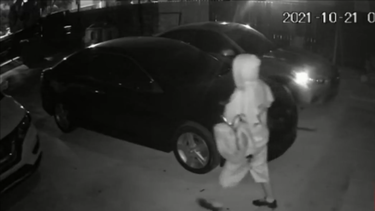 miami: adolescente roba el perro y dos vehiculos de la casa de sus vecinos