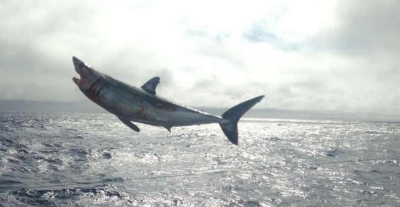 Screenshot (1816).png