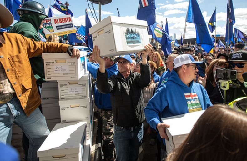 Simpatizantes cargan cajas con firmas para solicitar un referendo de separación a la Comisión Electoral de Alberta, el lunes 4 de mayo de 2026, en Alberta, Canadá. (Jason Franson/The Canadian Press via AP)