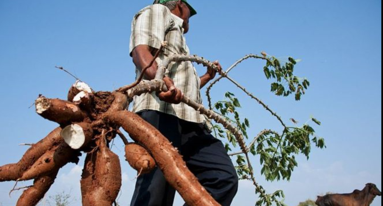 Screenshot (1799).png