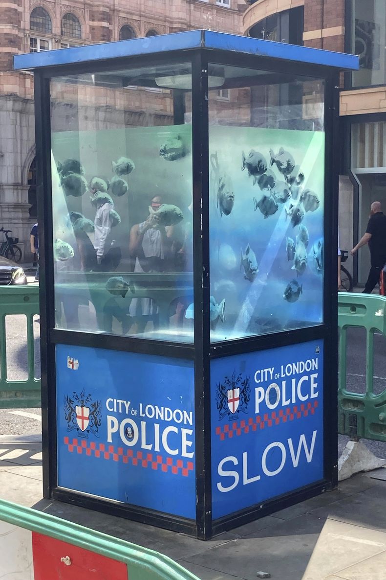 Una obra de peces de Banksy, que apareció en una cabina de policía en la ciudad de Londres, es acordonada en Londres, el lunes 12 de agosto de 2024. (Emily Pennink/PA vía AP)