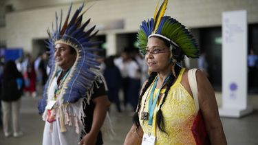 Miembros de la delegación indígena de Brasil llegan a la ceremonia de apertura de la conferencia de las Naciones Unidas sobre biodiversidad, COP16, en Cali, Colombia, el domingo 20 de octubre de 2024. (Foto AP/Fernando Vergara)