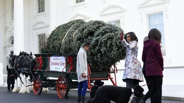 Arriba árbol de Navidad a la Casa Blanca