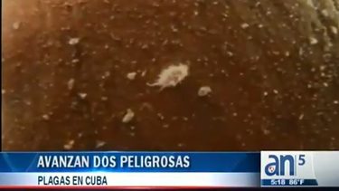 americateve | 