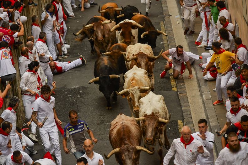 Toros corren entre los participantes del primer encierro de las Fiestas de San Fermín en la ciudad de Pamplona, España, el viernes 7 de julio de 2023. (AP Foto/Álvaro Barrientos)