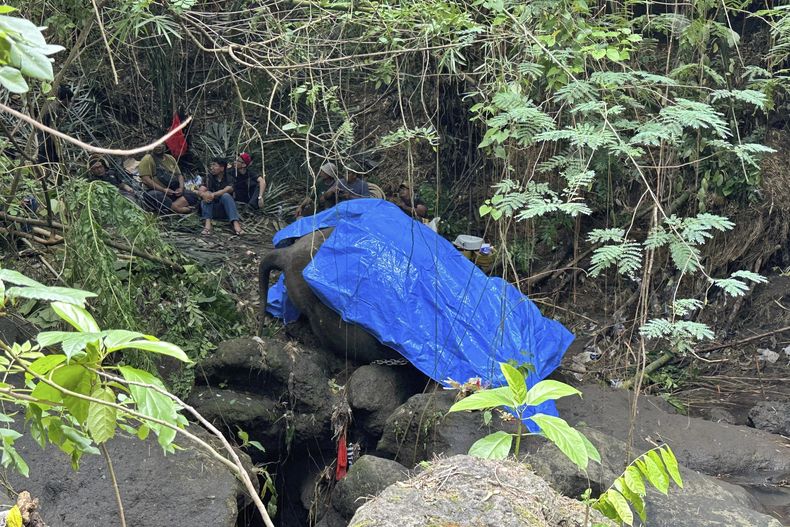 Operarios esperan a la maquinaria pesada para retirar los restos de Molly, una hembra de elefante de Sumatra de 45 años del zoo de Bali que fue hallada muerta tras ser arrastrada por una crecida en la víspera, en Gianyar, Bali, Indonesia, el 17 de diciembre de 2024. (AP Foto/Firdia Lisnawati)