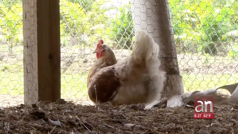 Screen Shot 2019-05-08 at 7.06.01 PM.png