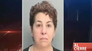 americateve | Los vecinos de un barrio de Kendall reaccionan ante la noticia de que  su vecina, de 62 años, se dedicaba a cultivar marihuana dentro de su casa.