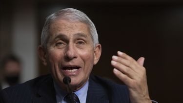 Fauci, optimista por estudios de vacunas para el coronavirus