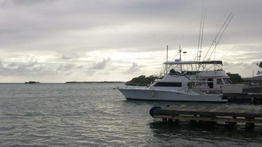 aguaceros pasajeros afectaran porciones del este de puerto rico