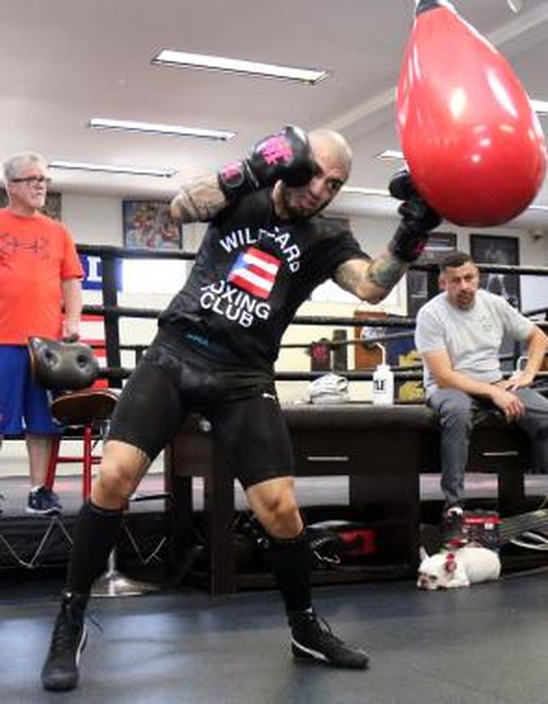 Miguel Cotto está tan concentrado en su pelea del sábado que no quiso ofrecer opinión ayer sobre el combate entre Floyd Mayweather Jr. y Conor McGregor.&nbsp;