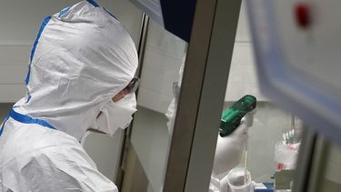 Expertos buscan vacuna para nuevo virus de China