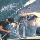 Esta imagen publicada por Peacock muestra a Roy Scheider en una escena de Jaws. (Peacock/Universal Pictures via AP)