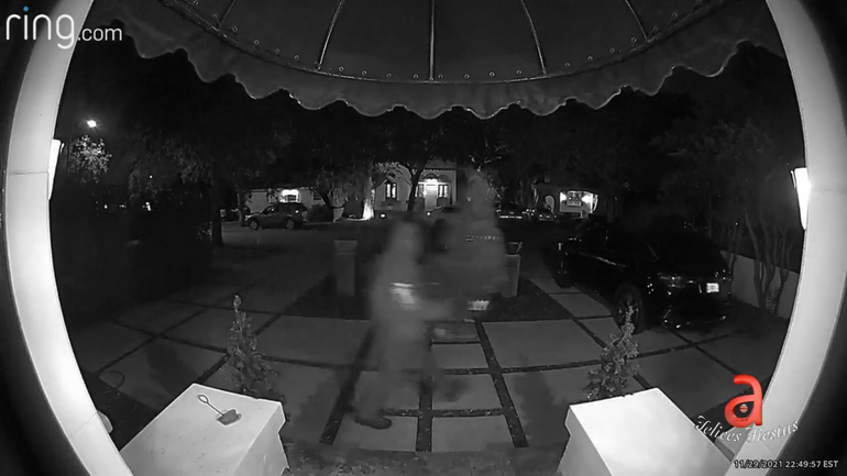 Familia de Miami es víctima de robo: un hombre se llevó varios arboles de navidad que decoraban el frente de su casa