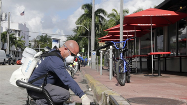 alerta local: reportan nuevos casos de dengue en miami