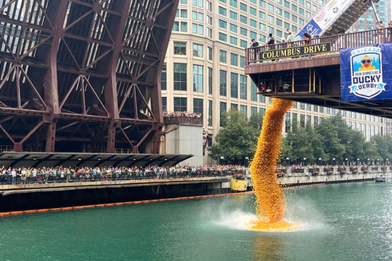 Más de 90.000 patos de goma son arrojados al río Chicago como parte de la carrera anual Chicago Duck Derby a beneficio de Special Olympics Illinois, el jueves 6 de agosto de 2026, en Chicago. (AP Foto/Cybele Mayes-Osterman)