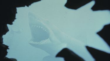 Esta imagen publicada por Peacock muestra una escena de Jaws. (Peacock/Universal Pictures via AP)