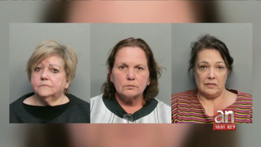 arrestan a tres mujeres de origen cubano por estafar a personas mayores prometiendoles obtener una casa bajo el plan 8