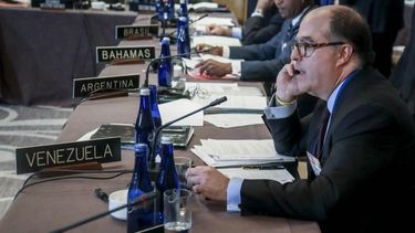 borges en la oea: el que quiera lavar dinero podra hacerlo en venezuela