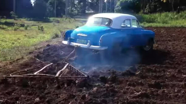 utilizan un almendron para arar la tierra en cuba