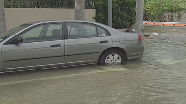 ¿cuanto le ha costado a miami los danos causados por la marea alta?