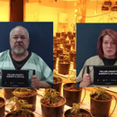 Sospechan de mafia cubana en masivo mercado ilegal de marihuana en Colorado
