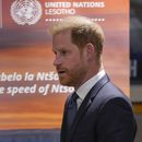 ARCHIVO - El príncipe Enrique de Reino Unido habla durante un evento de alto nivel patrocinado por Lesotho en la sede de la ONU, el martes 24 de septiembre de 2024. (Foto AP/Frank Franklin II, archivo)
