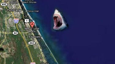 Adolescente es atacada por tiburón en Boca Ratón