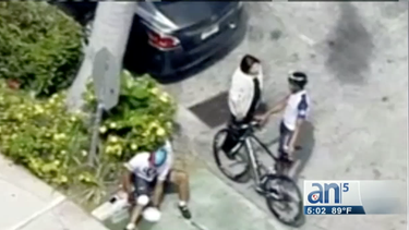 un conocido reportero es atropellado en plena via publica