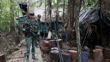 venezuela/colombia.- venezuela destruye ocho laboratorios de droga en la frontera con colombia