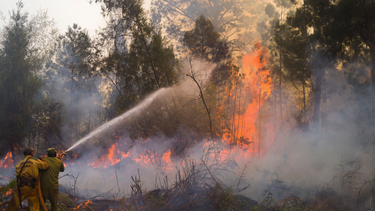 el incendio en holguin avanza hacia santiago de cuba y ya quemo casi 2.000 hectareas