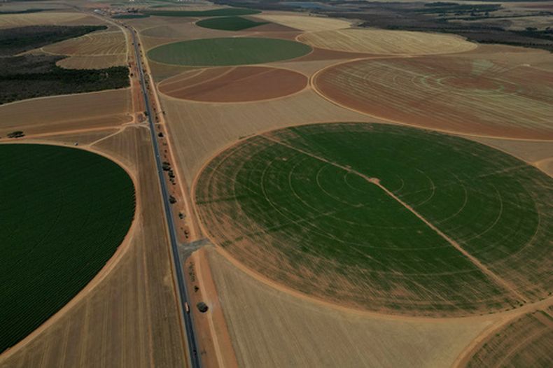 Preparación de campos para la plantación de maíz y soya en un área rural de Brasilia, Brasil, el martes 1 de octubre de 2024. (AP Foto/Eraldo Peres)