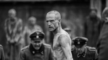 dia internacional del holocausto: memoria y compromiso contra el olvido
