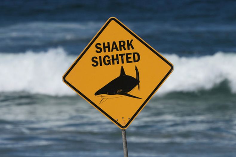 ARCHIVO - Un cartel se ve en el lugar de un ataque letal de tiburón en la playa Dee Why Beach en Sydney, Australia, el sábado 6 de septiembre de 2025. (AP Foto/Mark Baker, Archivo)