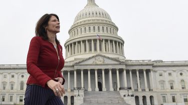 Denuncian falta de diversidad en órgano demócrata