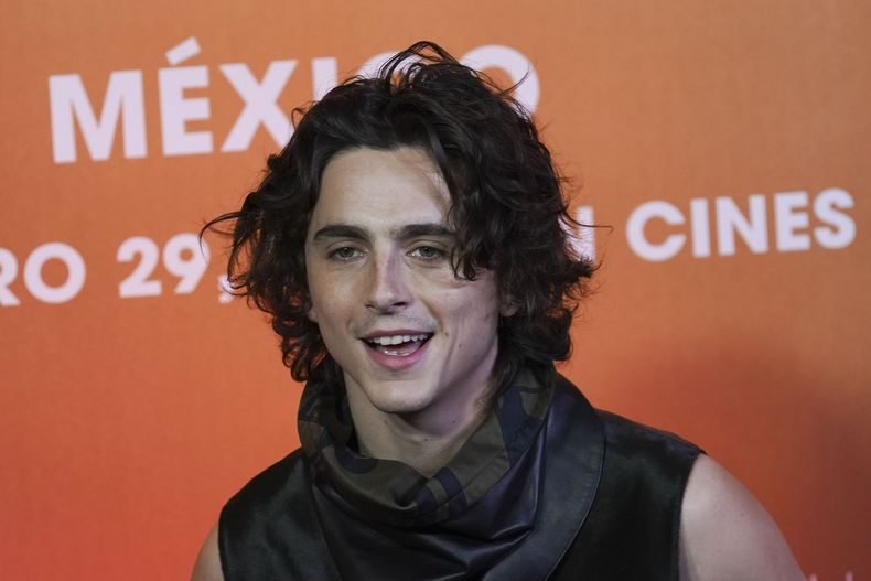 El actor estadounidense Timothee Chalamet posa en una sesión fotográfica para promover la película Dune: Part Two en la Ciudad de México el lunes 5 de febrero de 2024. (Foto AP/Marco Ugarte)