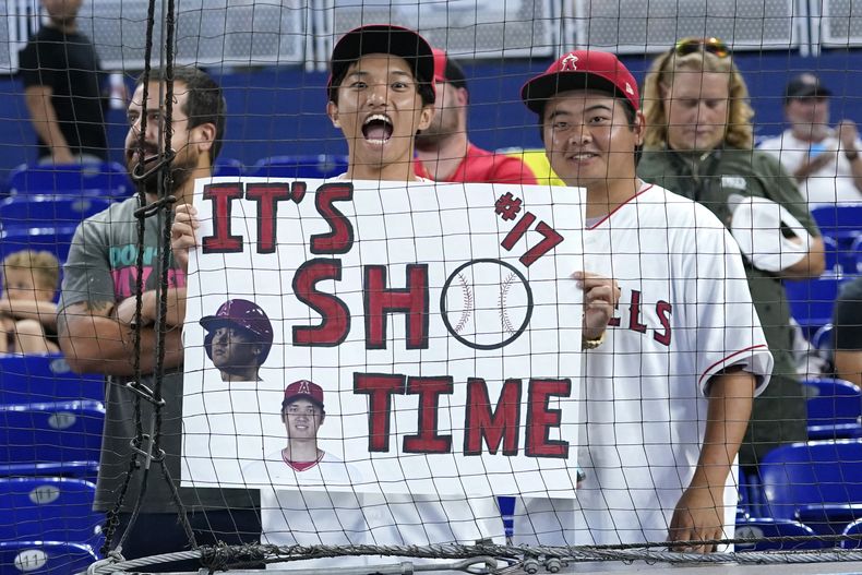 DEP-BEI OHTANI-HECHO EN JAPÓN