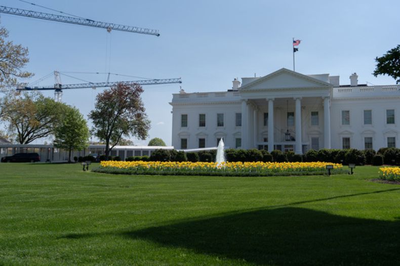 Grúas utilizadas para la construcción del nuevo salón de baile se observan en el exterior de la Casa Blanca, el sábado 4 de abril de 2026, en Washington. (Foto AP/Julia Demaree Nikhinson)